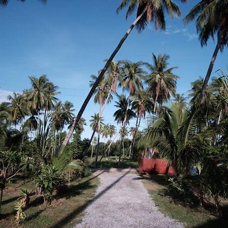 Coconut Tree Homestay Ban Wa Thon エクステリア 写真
